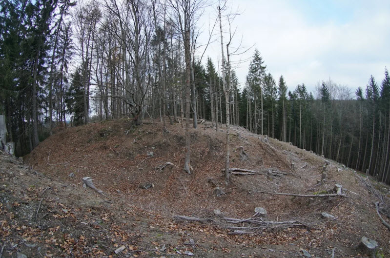 Burgstall auf dem Schlosshügel, Germany